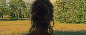 Movie still from “Mother!” (2017), directed by Darren Aronofsky – A person's hair in a field; Close Up shot, Over the shoulder angle