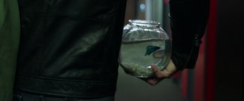 Movie still from “My Spy” (2020), directed by Peter Segal – A person holding a fish in a glass bowl; Extreme Close Up shot, High angle