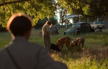 Movie still from “Nitram” (2021), directed by Justin Kurzel – A man and two dogs in a grassy field; Wide shot, Over the shoulder angle