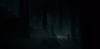 Movie still from “No Exit” (2022), directed by Damien Power – A person is standing in the dark in the woods; Extreme Wide shot, Low angle
