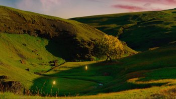 Movie still from “Noah” (2014), directed by Darren Aronofsky – A green field with a tree in the middle of it; Extreme Wide shot, High angle