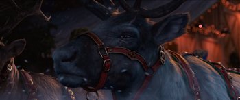 Movie still from “Noelle” (2019), directed by Marc Lawrence – The head of an animal with a harness on; Extreme Close Up shot, Low angle