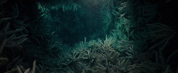 Movie still from “Old” (2021), directed by M. Night Shyamalan – View of some plants in the water; Extreme Wide shot, Overhead angle