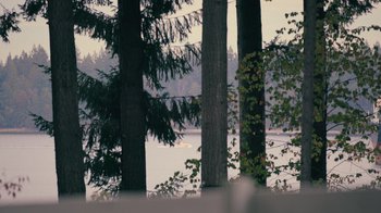 Movie still from “Pamela: A Love Story” (2023), directed by Ryan White – A group of trees near a body of water; Extreme Wide shot, High angle