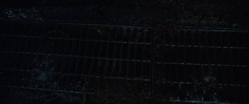 Movie still from “Parasite” (2019), directed by Bong Joon Ho – A fence that has been painted black and has leaves on the ground; Extreme Close Up shot, Overhead angle