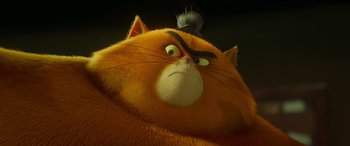 Movie still from “Paws of Fury: The Legend of Hank” (2022), directed by Chris Bailey – An orange cat with a black mohawk is looking at the camera; Close Up shot, Low angle