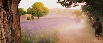 Movie still from “Perfume: The Story of a Murderer” (2006), directed by Tom Tykwer – A field of purple flowers with a tree in the distance; Extreme Wide shot, High angle