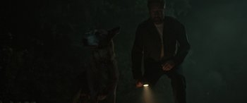 Movie still from “Pet Sematary: Bloodlines” (2023), directed by Lindsey Anderson Beer – A man and a dog in the dark with a flashlight; Medium shot, High angle