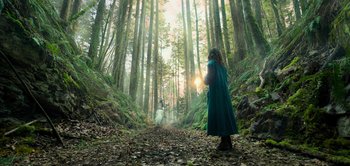 Movie still from “Peter Pan & Wendy” (2023), directed by David Lowery – A person in a forest with a dog and a cat; Extreme Wide shot, Low angle