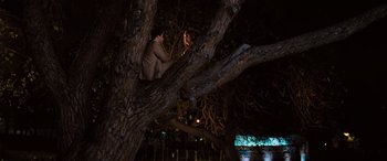 Movie still from “Pineapple Express” (2008), directed by David Gordon Green – A man sitting in a tree looking up at the night sky; Wide shot, High angle