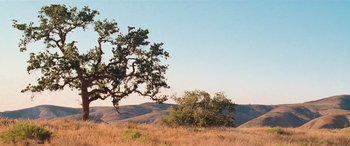 Movie still from “Pineapple Express” (2008), directed by David Gordon Green – An oak tree in the middle of a dry grass field; Extreme Wide shot, Low angle