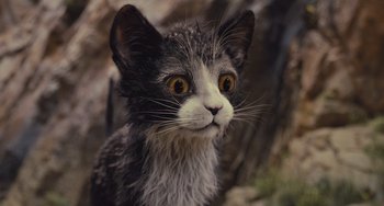 Movie still from “Pinocchio” (2022), directed by Robert Zemeckis – A black and white cat is looking at the camera; Close Up shot, Low angle