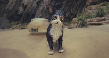 Movie still from “Pinocchio” (2022), directed by Robert Zemeckis – A black and white cat standing on top of a sandy beach; Close Up shot, High angle