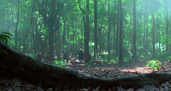 Movie still from “Platoon” (1986), directed by Oliver Stone – A forest filled with lots of green trees and leaves; Extreme Wide shot, High angle