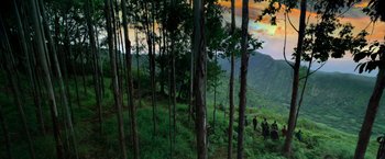 Movie still from “Predators” (2010), directed by Nimród Antal – A group of people standing on top of a green hillside; Extreme Wide shot, High angle