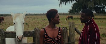 Movie still from “Queen & Slim” (2019), directed by Melina Matsoukas – A woman standing in front of a fence with a horse grazing in the background; Medium shot, Over the shoulder angle