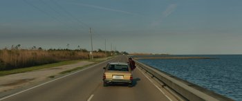 Movie still from “Queen & Slim” (2019), directed by Melina Matsoukas – A car driving down a road next to a body of water; Extreme Wide shot, High angle