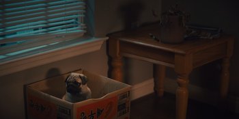 Movie still from “Quiz Lady” (2023), directed by Jessica Yu – A pug dog sitting inside of a cardboard box on the floor; Wide shot, High angle