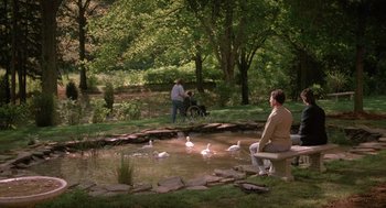 Movie still from “Rain Man” (1988), directed by Barry Levinson – A man sitting on a bench in front of some ducks; Wide shot, High angle