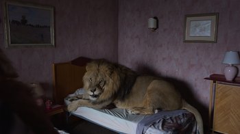 Movie still from “Rainbow” (2022), directed by Paco León – A lion laying on top of a bed in a room; Wide shot, High angle