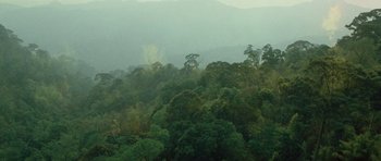 Movie still from “Rambo” (2008), directed by Sylvester Stallone – A view of a lush green forest from above; Extreme Wide shot, High angle