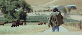 Movie still from “Rambo” (2008), directed by Sylvester Stallone – A man walking in a field with cows in the background; Wide shot, Over the shoulder angle