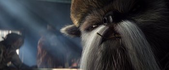 Movie still from “Rango” (2011), directed by Gore Verbinski – The face of an animal with long hair; Extreme Close Up shot, Low angle