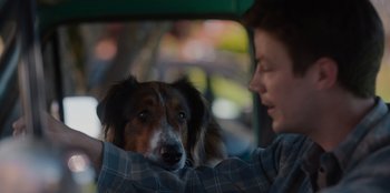 Movie still from “Rescued by Ruby” (2022), directed by Katt Shea – A dog sitting in the back seat of a car with a person; Close Up shot, Over the shoulder angle