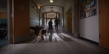 Movie still from “Rescued by Ruby” (2022), directed by Katt Shea – Two people and a dog walking down a hall way; Extreme Wide shot, Low angle