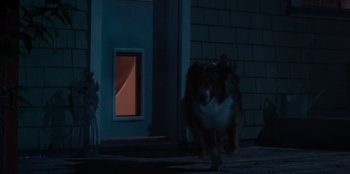 Movie still from “Rescued by Ruby” (2022), directed by Katt Shea – A brown and white dog is running in front of a building; Wide shot, Low angle