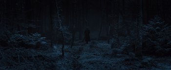 Movie still from “Resistance” (2020), directed by Jonathan Jakubowicz – A bear walking through the woods at night; Extreme Wide shot, High angle