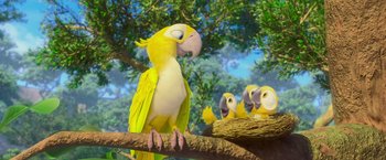 Movie still from “Rio” (2011), directed by Carlos Saldanha – A yellow and white parrot sitting on a branch; Wide shot, Low angle