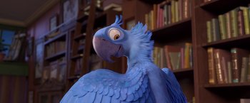 Movie still from “Rio” (2011), directed by Carlos Saldanha – A blue parrot is standing in a library; Close Up shot, High angle