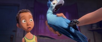 Movie still from “Rio” (2011), directed by Carlos Saldanha – A blue parrot is held up by a person; Close Up shot, Low angle