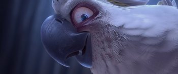Movie still from “Rio” (2011), directed by Carlos Saldanha – The face of a bird with blue eyes; Extreme Close Up shot, Low angle