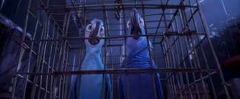 Movie still from “Rio” (2011), directed by Carlos Saldanha – Two blue parrots are in a cage looking at each other; Medium shot, Low angle