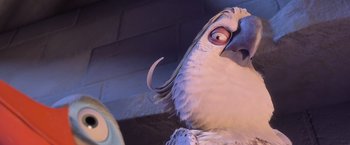 Movie still from “Rio” (2011), directed by Carlos Saldanha – The head of a white bird; Close Up shot, Low angle