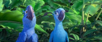 Movie still from “Rio” (2011), directed by Carlos Saldanha – Two blue parrots standing next to each other in front of green leaves; Close Up shot, Low angle