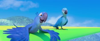 Movie still from “Rio” (2011), directed by Carlos Saldanha – Two blue parrots sitting next to each other on grass; Wide shot, High angle