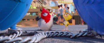 Movie still from “Rio” (2011), directed by Carlos Saldanha – A bird is standing next to a stuffed animal; Wide shot, Over the shoulder angle