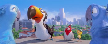 Movie still from “Rio” (2011), directed by Carlos Saldanha – Two birds are standing next to each other on a roof; Wide shot, Low angle