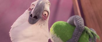 Movie still from “Rio” (2011), directed by Carlos Saldanha – A bird with a tennis ball in front of it; Extreme Close Up shot, High angle