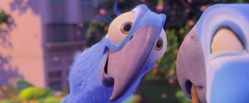 Movie still from “Rio” (2011), directed by Carlos Saldanha – An animated bird with big eyes and a long beak; Extreme Close Up shot, High angle