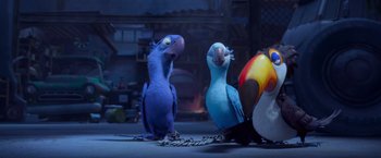 Movie still from “Rio” (2011), directed by Carlos Saldanha – Two parrots and a parrot sitting on the ground; Wide shot, Low angle