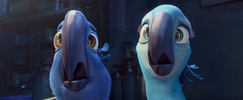 Movie still from “Rio” (2011), directed by Carlos Saldanha – Two blue parrots looking at each other in a room; Close Up shot, Low angle
