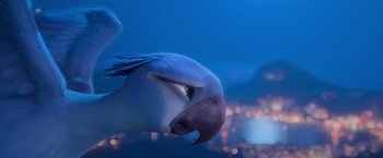 Movie still from “Rio” (2011), directed by Carlos Saldanha – View of a bird's face at night; Close Up shot, Low angle