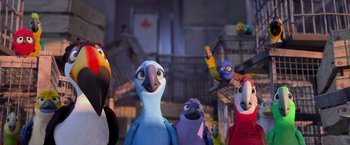 Movie still from “Rio” (2011), directed by Carlos Saldanha – A group of stuffed birds standing next to each other; Wide shot, Low angle