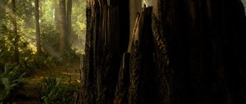 Movie still from “Rise of the Planet of the Apes” (2011), directed by Rupert Wyatt – View of a tree trunk in the forest; Extreme Wide shot, Low angle