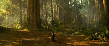 Movie still from “Rise of the Planet of the Apes” (2011), directed by Rupert Wyatt – A young child in a forest with trees; Extreme Wide shot, High angle