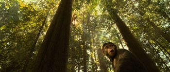 Movie still from “Rise of the Planet of the Apes” (2011), directed by Rupert Wyatt – A monkey in the middle of a forest; Wide shot, Low angle